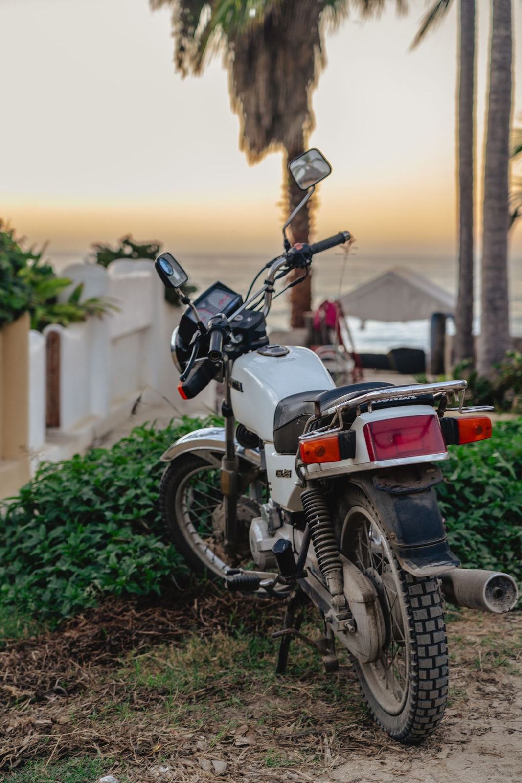 An older work motorcycle parked among plants